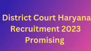 District Court Haryana Recruitment 2023 Promising 