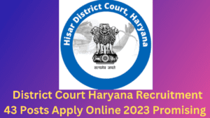 District Court Haryana Recruitment 2023 Promising 