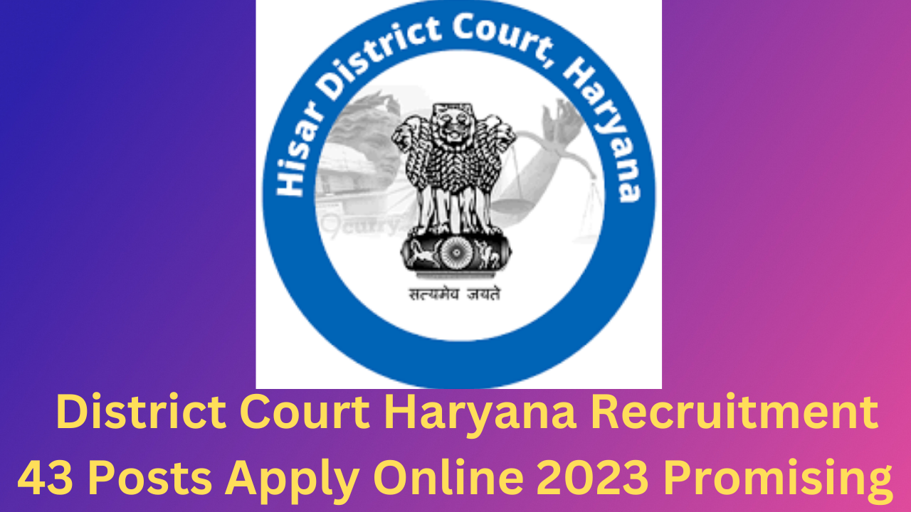 District Court Haryana Recruitment 2023 Promising